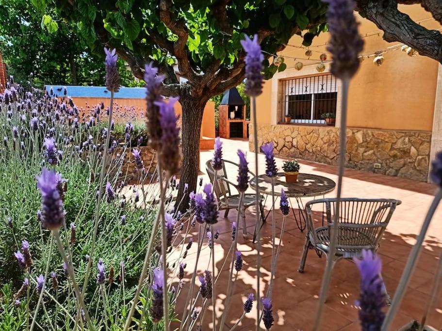 Mas Del Vent- Barbacoa, Jardin, Piscina Privada Y Vistas A Mar Villa Cunit Eksteriør bilde